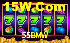 55BMW APP