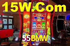 55BMW,55BMW.Com